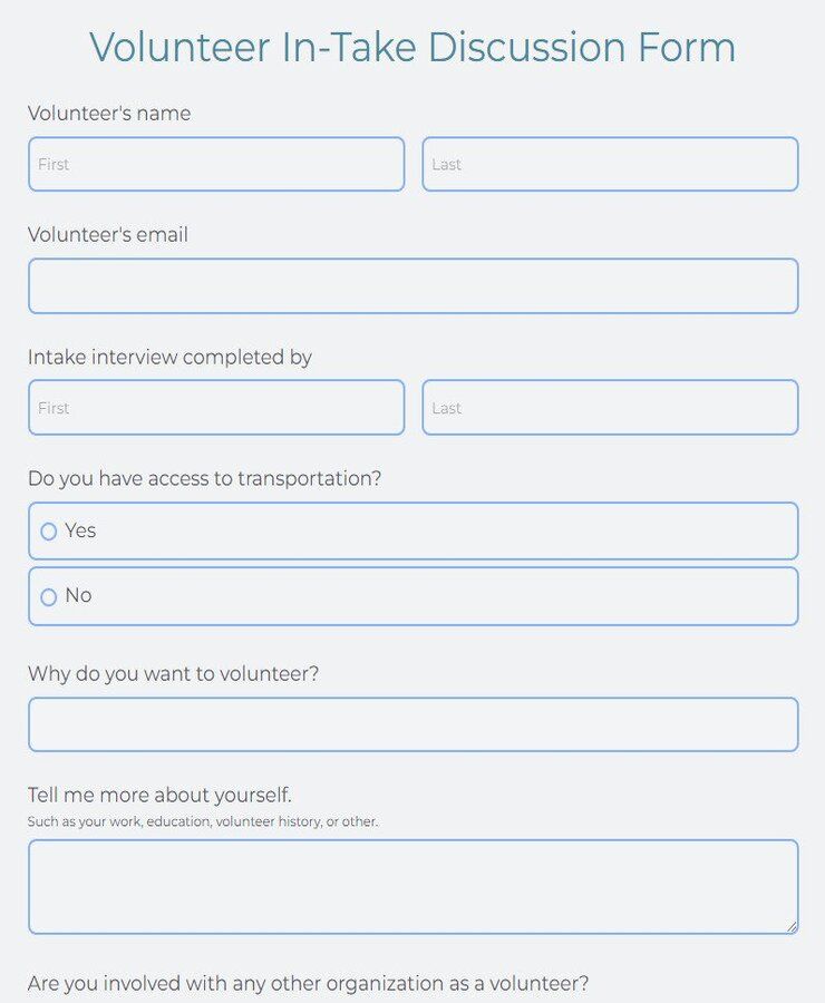 volunteer in-take discussion form