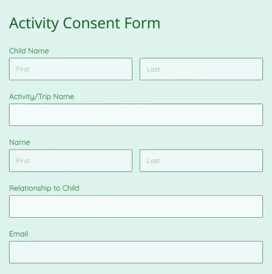 <strong>Activity Consent Form</strong>