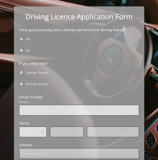 Driving Licence Application Form Template