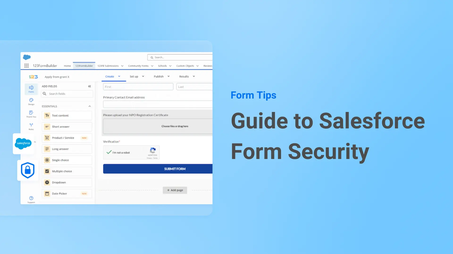 Guide to Ensuring Salesforce Form Security