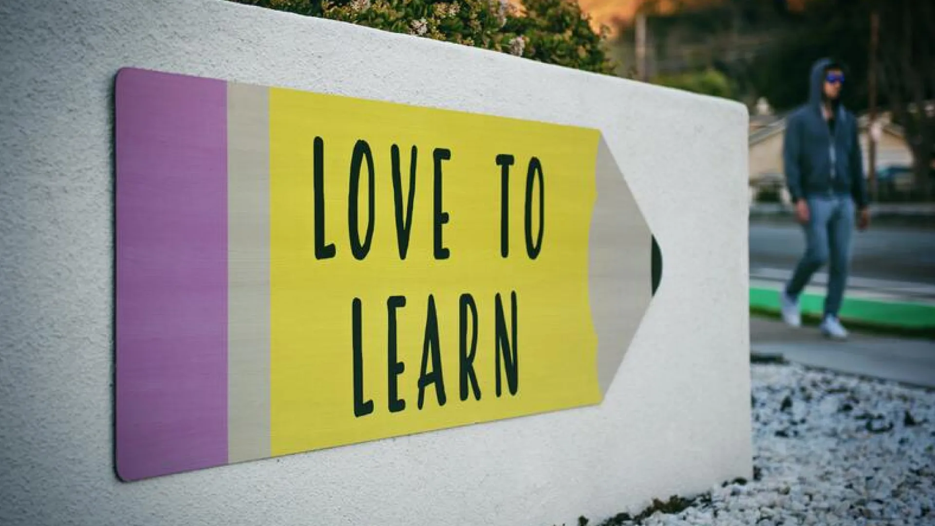 18 Educational Industry Application Forms for Efficient Processes